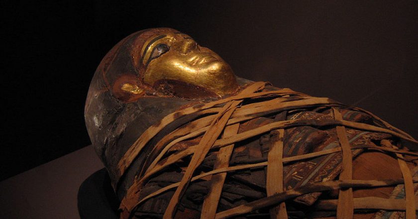 Mummy inside sarcophagus